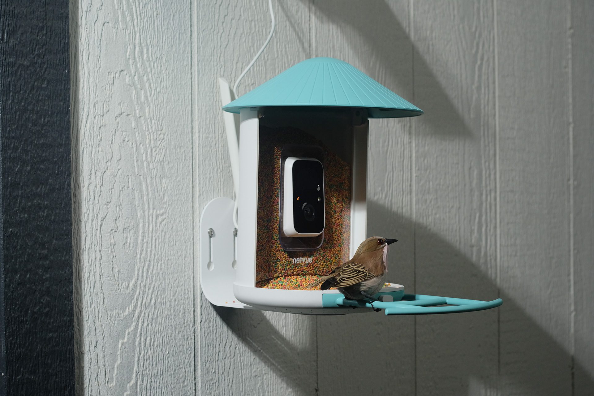 BIRDFY AI RECOGNITION BIRD FEEDER CAMERA